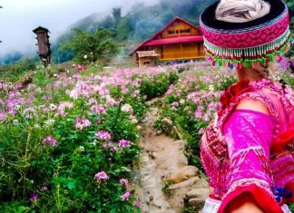 Du lịch Sapa cho kỳ nghỉ thì đi đâu để check-in? du lich sapa