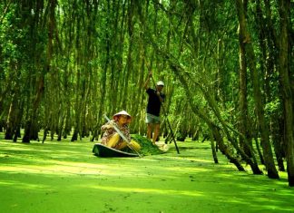 Du lịch miền Tây hấp dẫn 2025 du lịch mien tay